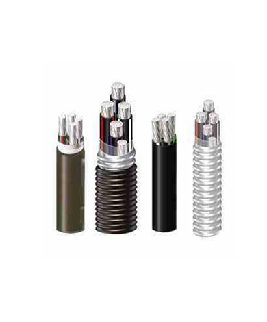 �й���7790�ط�����(�ɷ�)���޹�˾-�ٷ���վ